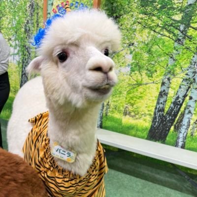 mirosecurity's profile picture. 法政通信文史4年(2023後期入学) | だいたい飽きた