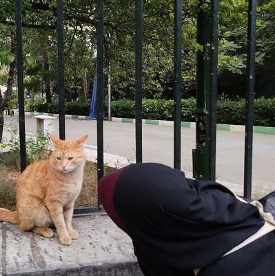 f_moridzadeh's profile picture. فعلا هیچی.