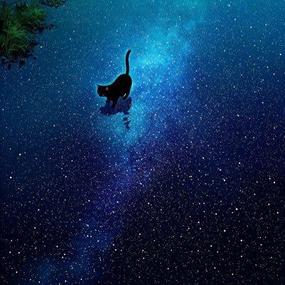 luis815798's profile picture. 