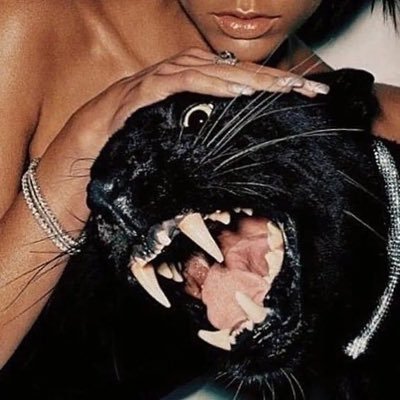 thatlildeath's profile picture. so simple, sometimes saucy