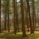 Wiltz Kwapniewski - @WiltzK37720 - Twitter