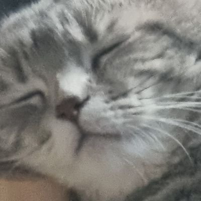 yuukikasa1's profile picture. 