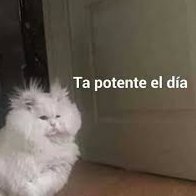 @ultramarfil