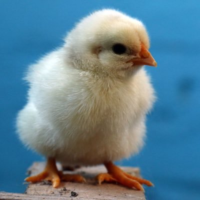 Ted__Henry's profile picture. Everything is fantasy.