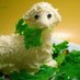 Mashed Potatoes (@614caravan46273) Twitter profile photo Mashed Potatoes (@614caravan46273) Twitter profile photo