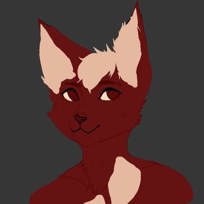 Maoist/ Furry/ demisexual/ He/him / Norwegian / gamer