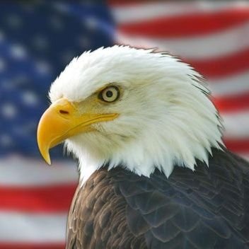 gzcchurchpc's profile picture. She’s a queen. Her soul is royalty.