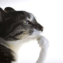 Enkrypted_d's profile picture. 