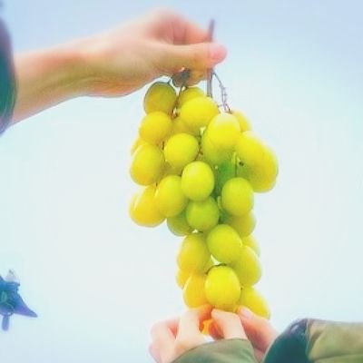 ru_take2119chii's profile picture. 健さんとABYTSが日々の癒し｡健さんのいる暮らし•*¨*•.¸¸♡健さんを一緒に愛でてくれる方､大歓迎です✨
仕事やホークス⚾のこと､どうでもいいこともたまに呟きます😌