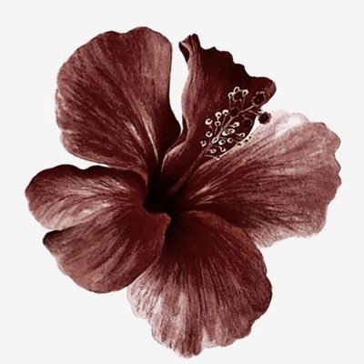 raruent's profile picture. currently looking for moots | rarely on | mostly anime & fanart | minor, homophobic dni