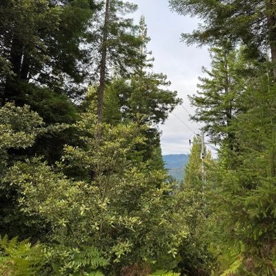 noideasrn's profile picture. 90’s dude, navy vet, maga,