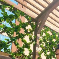 Ilona U. (@bevarditze3251) 's Twitter Profile