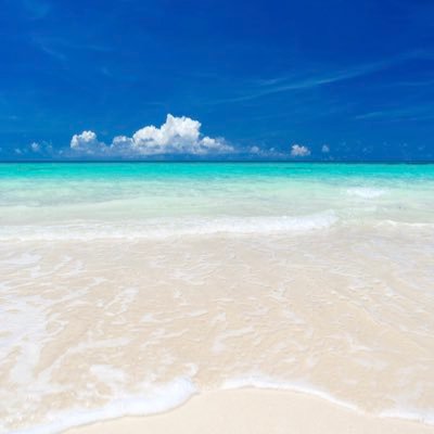 fidbwyzgslah's profile picture. 