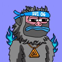 SuiOracle (@suioracle) 's Twitter Profile
