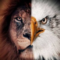 Caleb The Great (@calebthegreat01) 's Twitter Profile