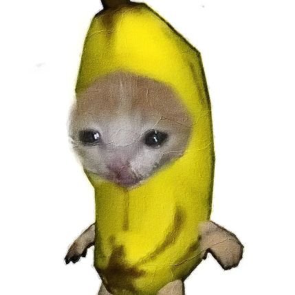 ♌