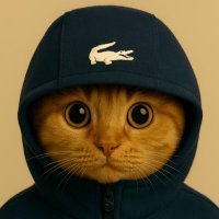 Geo 🥷 (@maxixverse2) 's Twitter Profile