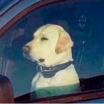 Return_Of_Pere's profile picture. איש זר מהאינטרנט