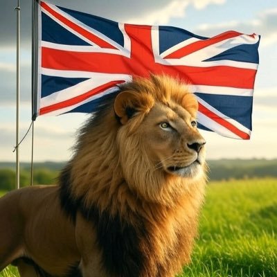 Patriot. Anti woke. Worried , angry and overwhelmed. Music and campfires keeping me sane. ⛔️ No DMs ⛔️