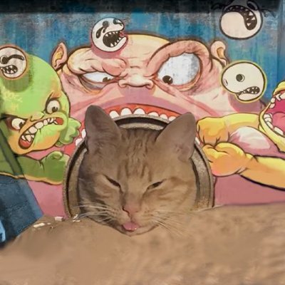 KittyTM Profile