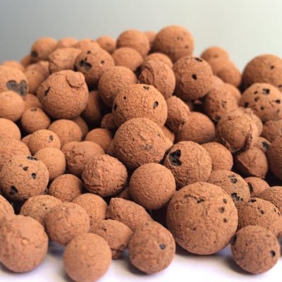 eMBe432721's profile picture. 