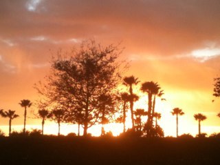 sbunn82's profile picture. 