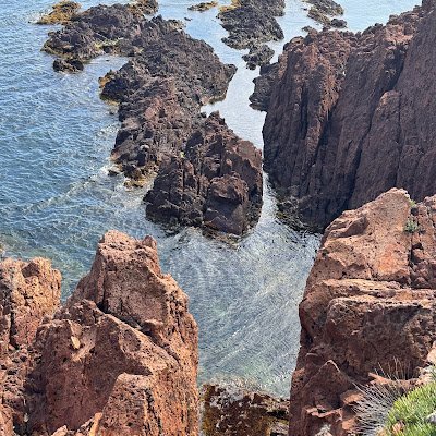 Anikafashi46221's profile picture. 