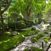 りゅーやじゃけ (@ryuya_zyake0512) 's Twitter Profile