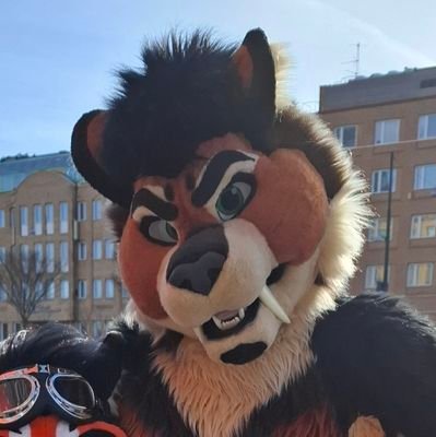 TitustheTiger π EF29 Profile