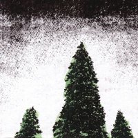 tell me about the long dark path home (@noflashlightt) 's Twitter Profile