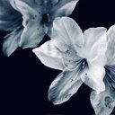 baek - @beakjeoni - Twitter