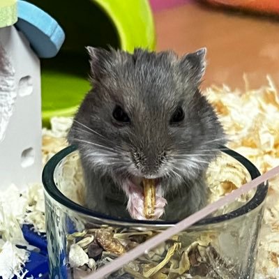 phassr200's profile picture. 