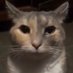 xX_G0DGam3r_Xx (@g0dgam3r93919) Twitter profile photo xX_G0DGam3r_Xx (@g0dgam3r93919) Twitter profile photo