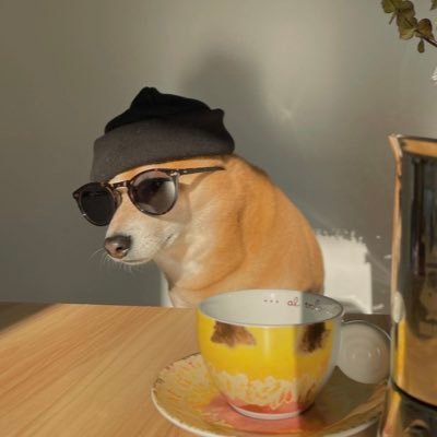 antgothejays's profile picture. Loading.... #SHIBARMY #SHIB #Bitcoin #Ethereum #BONE #KNINE $BAD #LEASH Crypto Scarface 🥷🏽