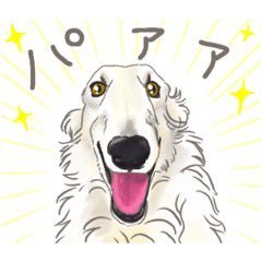 週に4-5回はアングラへ|お酒大好き🥃|Dominant|主従SMが性癖|ハプバー歴は長め|生息地:ミナミのハプバー🍆&💃|ENTJ指揮官|楽しいことが好き🕺|犬がいます🐕|ウイスキーくれると懐きます🥃