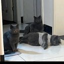 vivian du - @du_vivian38669 - Twitter