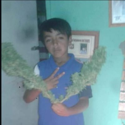 AlpahSong's profile picture. 