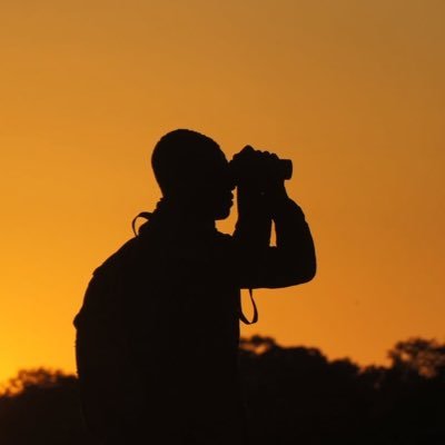 sinoia_wildPhot's profile picture. Young wildlife photographer  Conservationist  All photos are my own  Nature& wildlife enthusiastic @Zimparks  @africanparks @matusadonanationalpark