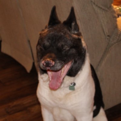 RaffordMatthew's profile picture. 