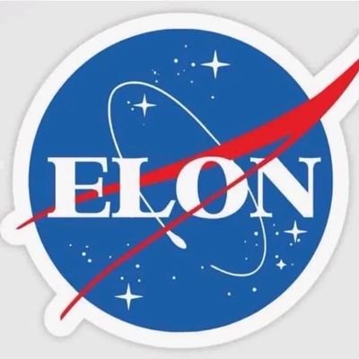 Elonmuskchat_67's profile picture. CEO of Tesla model SpaceX