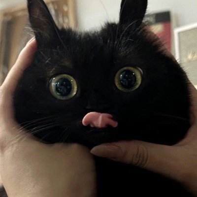 la43272's profile picture. 일기장