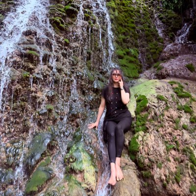 shaghayeghmoh16's profile picture. 