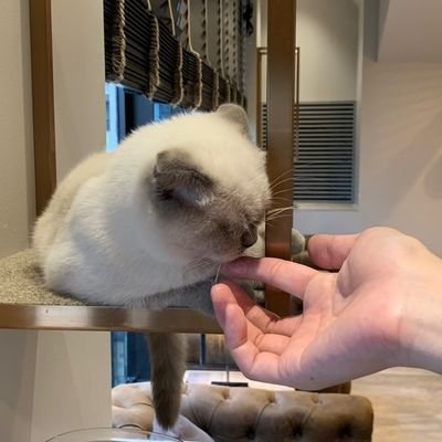 taka_1900's profile picture. p活アカ/都内住み会社員/30代前半/お酒は嫌いじゃないけど美味しいご飯食べたい派