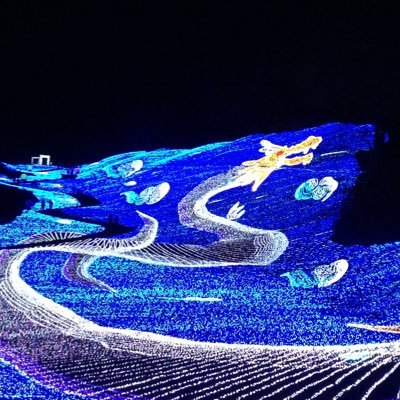 bjo_kanri's profile picture. 