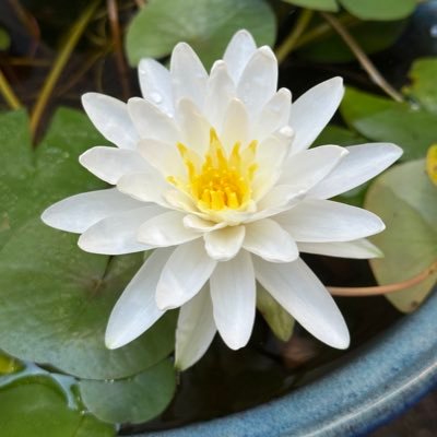 heRさんのプロフィール画像