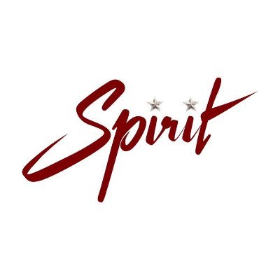 SPIRIT Profile