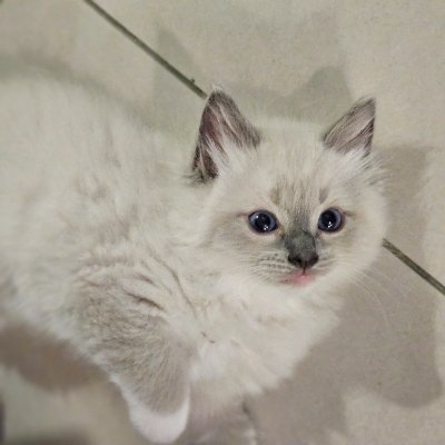 h092367738's profile picture. 