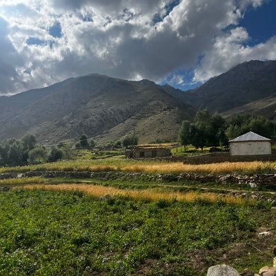 zahidzaidiuk's profile picture. 