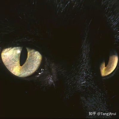 Speranza_orz's profile picture. Well... there's nothing to write.