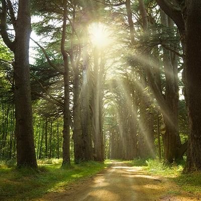 Tavo19697258866's profile picture. 